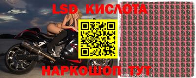 ALPHA PVP Камышлов
