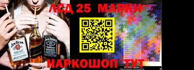 амф Кандалакша