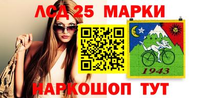 амф Кандалакша