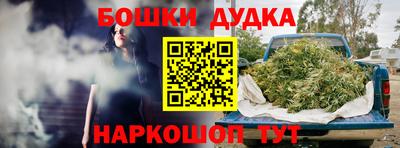 амф Кандалакша