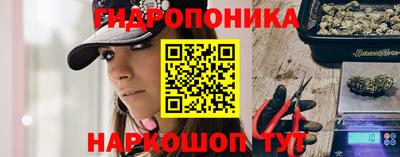 амф Кандалакша