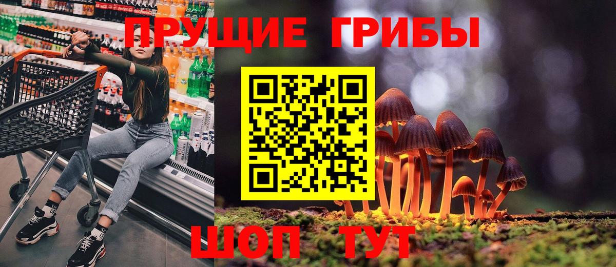 Красноуфимск  Галлюциногенные грибы прущие грибы  Вход с VPN 